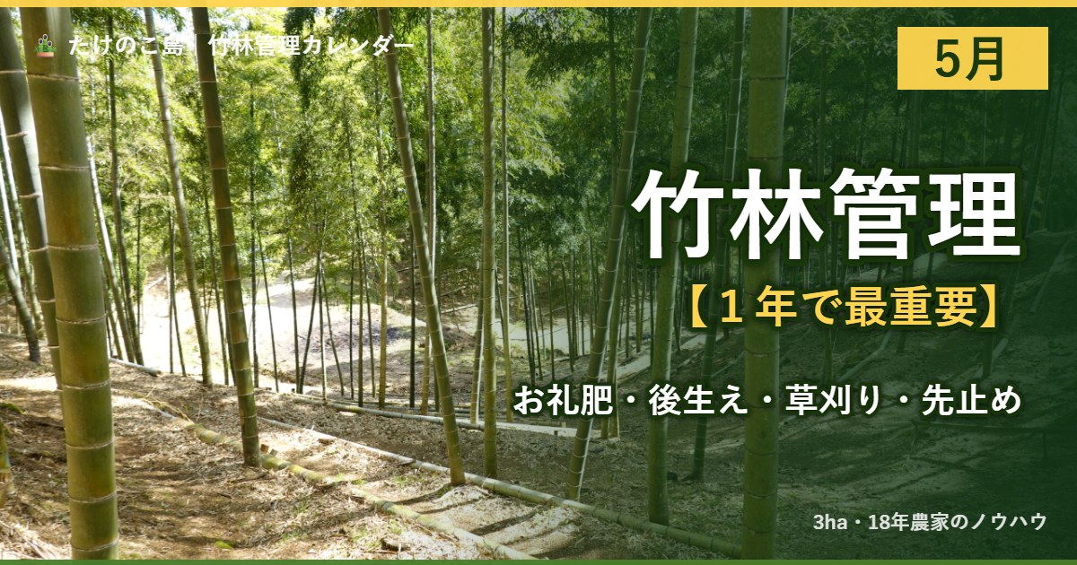 5月の竹林管理　2ケ月で1年で最重要の作業（お礼肥・後生え、草刈り、先止め）をまとめたアイキャッチ画像。竹林の背景にタイトルを重ねたデザイン。