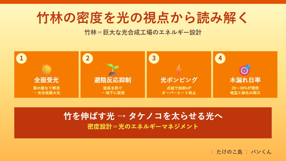 竹林の密度を光の視点から読み解く