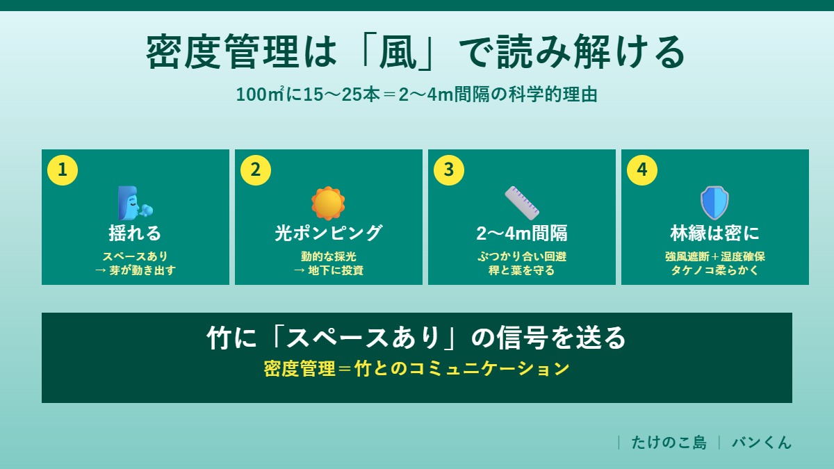 竹林の密度管理は風で読み解ける