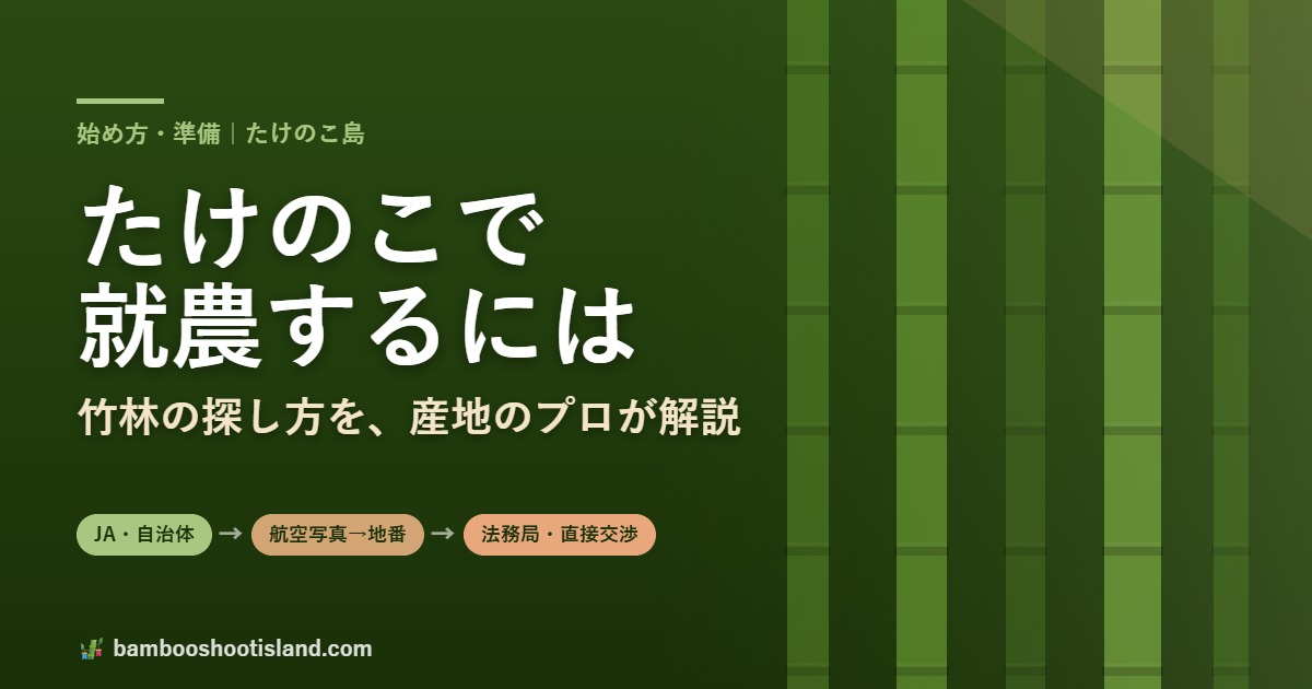 たけのこで就農するには。竹林の探し方を産地のプロが解説。