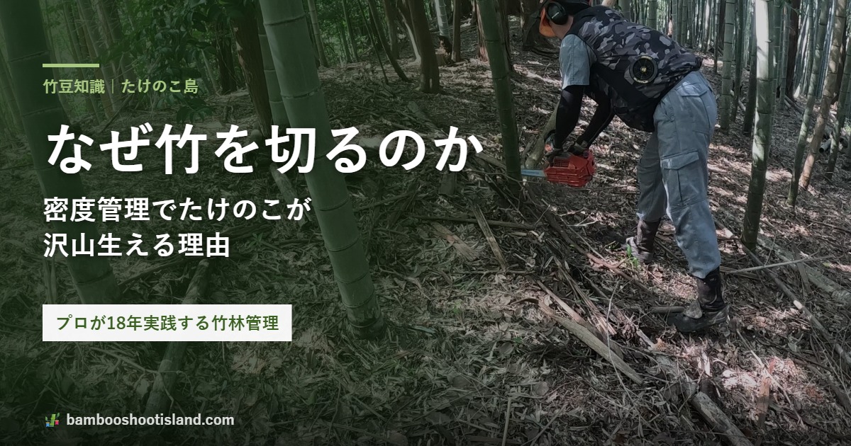 バンくんがチェーンソーで竹を間伐している様子。タイトル「なぜ竹を切るのか」のアイキャッチ画像。