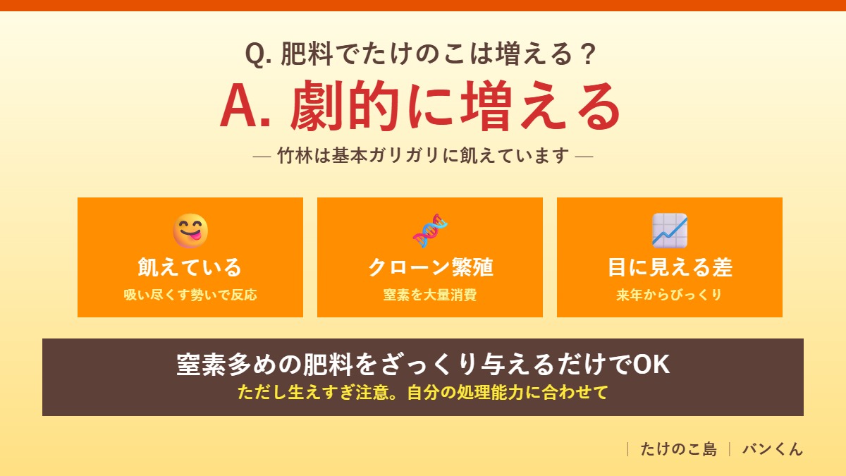 肥料でたけのこは増える