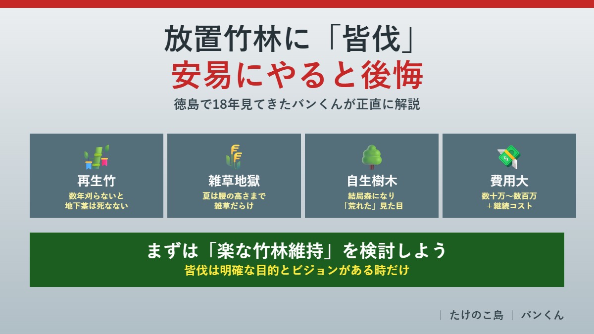 放置竹林に皆伐はおすすめしない