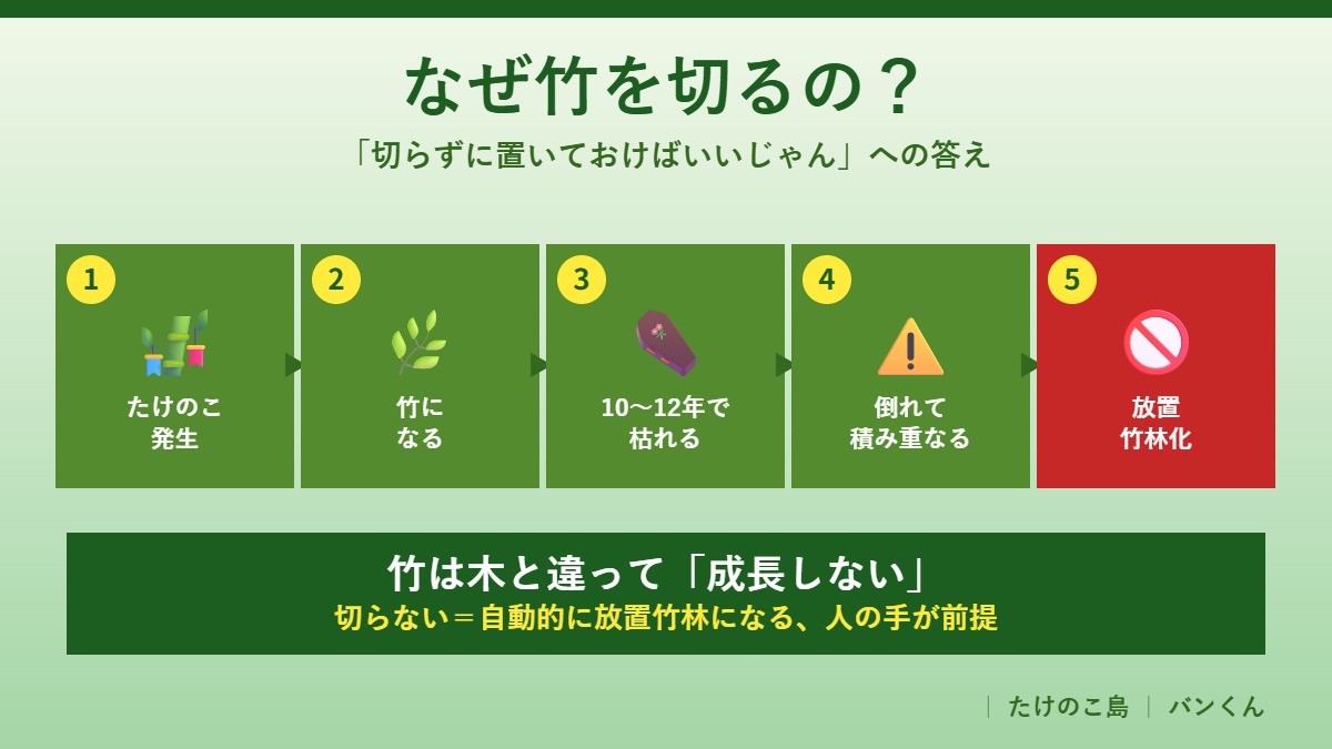 なぜ竹を切るのか｜放置竹林化のサイクル