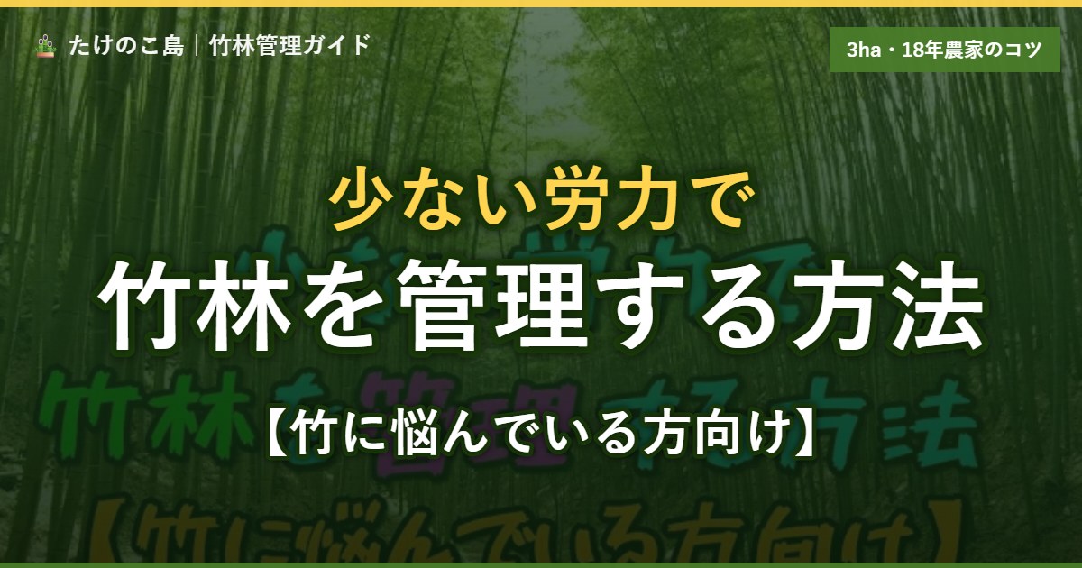 少ない労力で竹林を管理する方法。竹林の風景に「少ない労力で 竹林を管理する方法 【竹に悩んでいる方向け】」のタイトルを重ねたアイキャッチ画像。
