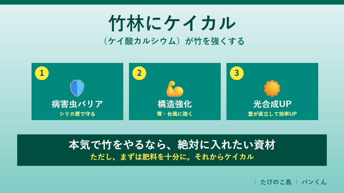 竹林にケイカル｜3つの効果