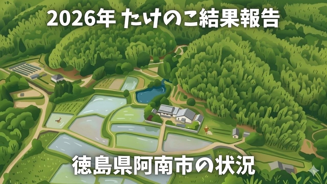2026年たけのこシーズン振り返り動画「今年はめっちゃ頑張りました！」のYouTubeサムネイル画像。