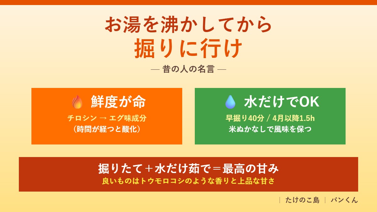 たけのこの茹で方｜エグ味の正体と正しい茹で方